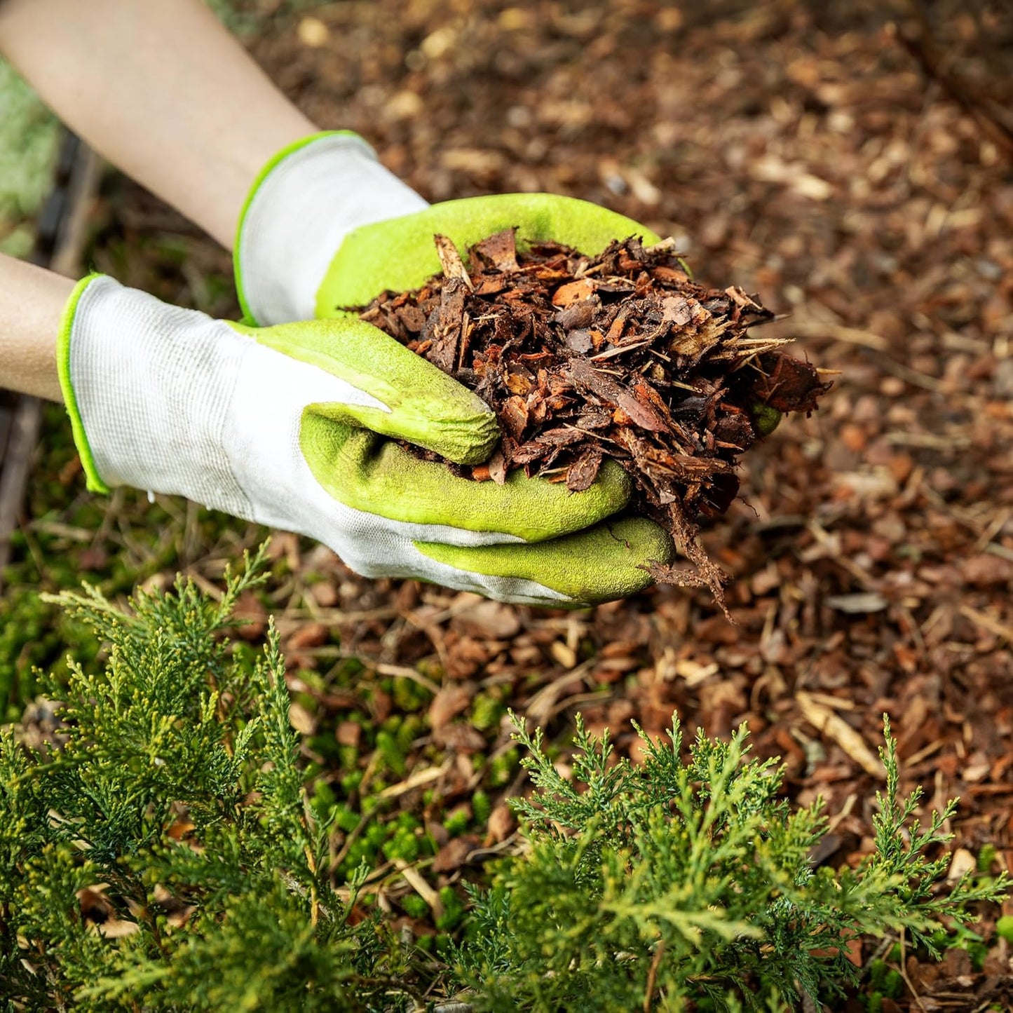 Premium Cypress Mulch for Landscaping, Gardens, Lawns, Reptile Bedding, and Potted Plants (0.5 CF - 14 L - 15 QTS)
