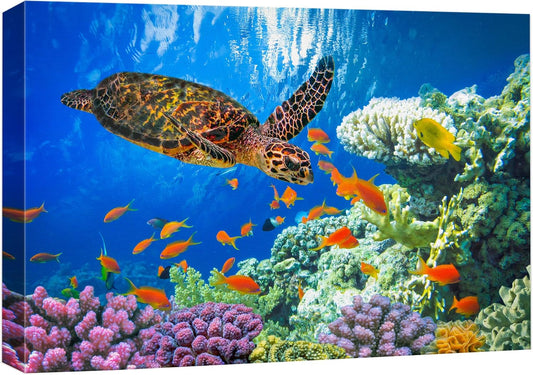 wall26 Canvas Print Wall Art Vibrant Neon Underwater Turtle, Reef & Fish Nature Animals Photography Realism Rustic Scenic Landscape Wilderness Colorful for Living Room, Bedroom, Office - 12"x18"