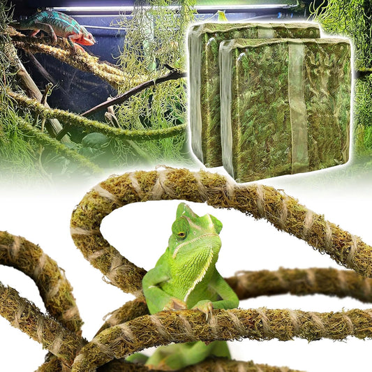 Duspro Reptile Decor Set Including 10FT Reptile Vine Climbing Bendable Branch & 04 OZ Natural Dried Forest Moss Bag Ideal for Bearded Dragon Chameleon Snake Gecko Lizard Terrarium Tank Accessories