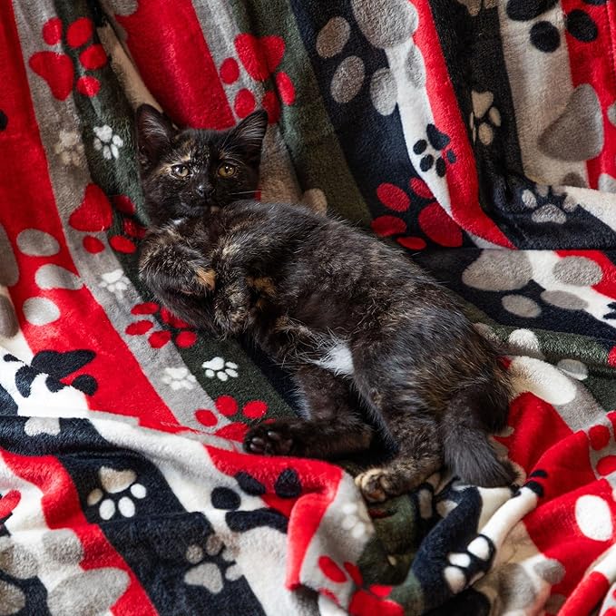 Pet Dog Cat Blanket Ultra Soft Cozy Fleece Paw Print Design Machine Washable Durable for Crates Beds Sofas Travel (Argyle Paws, Large)