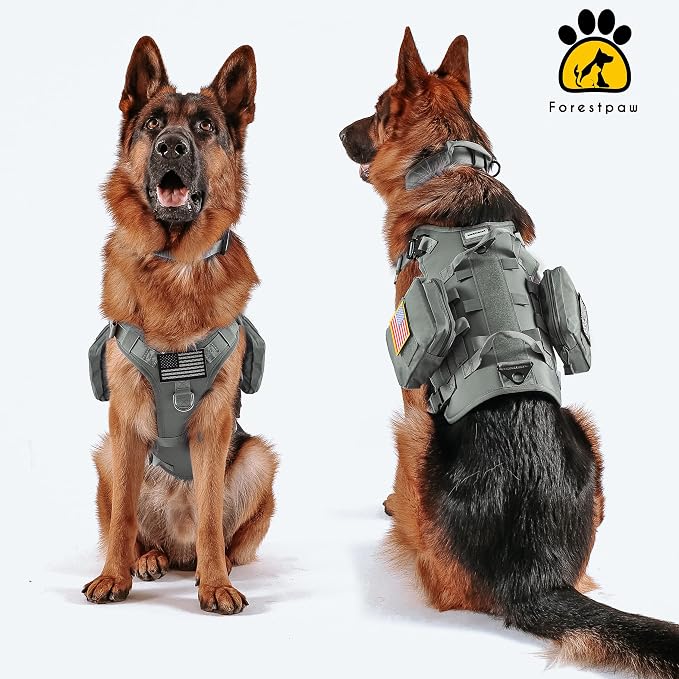 Forestpaw Tactical Dog Harness Collar Bungee Leash Set,L,Gray | Adjustable Fits 27-40" Chest,70-140 lbs,No Pull Control Military,Quick Release Buckle,Walking Training for Medium Large Dogs