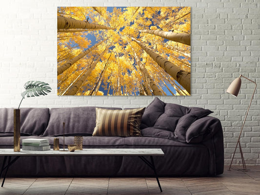 Nature Wall Art Prints - Ocean Forest Mountain Lake Canvas Landscapes - Small to Extra Large Living Room Bedroom Kitchen Bathroom Décor (Reaching for the Sky, 28L" x 41W")