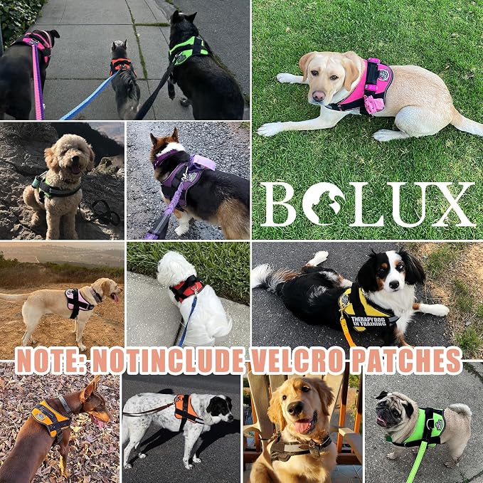 Dog Harness, No-Pull Reflective Dog Vest, Breathable Adjustable Pet Harness with Handle for Outdoor Walking - No More Pulling, Tugging or Choking