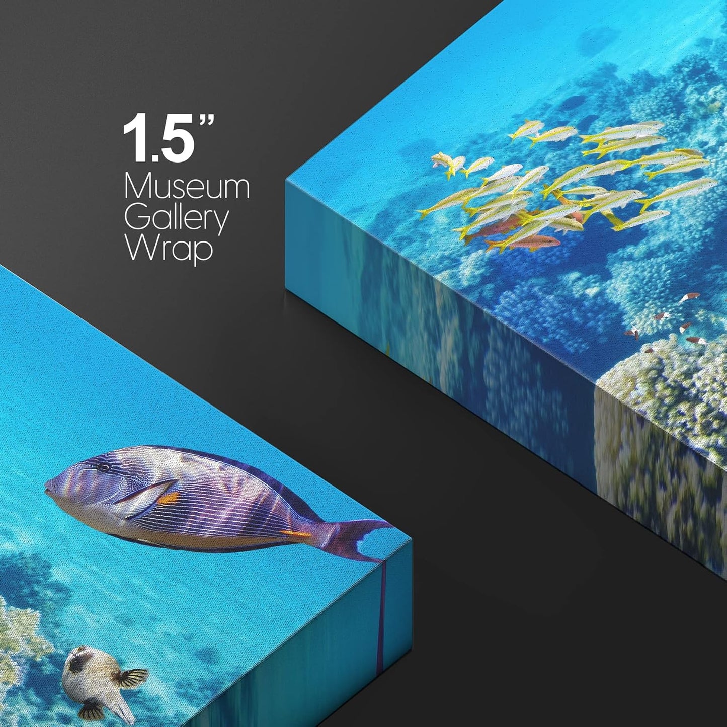 wall26 Canvas Print Wall Art Tropical Underwater Ocean Sea Fish Reef Nature Animals Photography Realism Rustic Scenic Landscape Wilderness Earth Colorful for Living Room, Bedroom, Office - 32"x48"