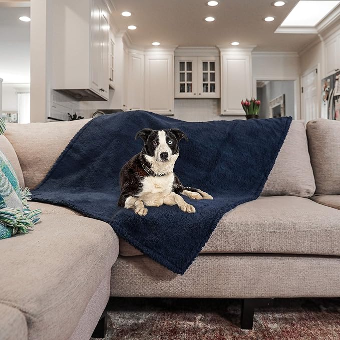 rocket & rex Large Waterproof Dog Blankets | Washable Premium Pet Blanket for Couches and Furniture | Medium - Large Breeds | Reversible Faux Suede, Soft Fleece, Waterproof Interior Layer