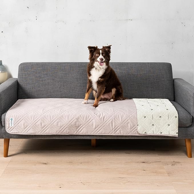 PetAmi Waterproof Couch Cover for Dogs, Waterproof Pet Blanket, Reversible Furniture Cover Sofa Protector for Pet Cat Bed, Washable Waterproof Blanket Dog Cover for Couch Seat, 30x70 Beige