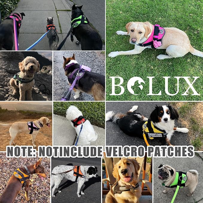 Dog Harness, No-Pull Reflective Dog Vest, Breathable Adjustable Pet Harness with Handle for Outdoor Walking - No More Pulling, Tugging or Choking