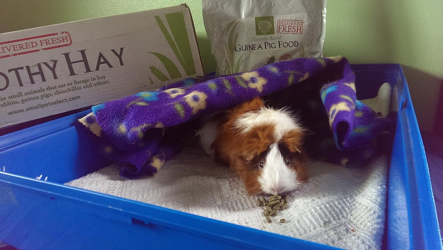 Small Pet Select Guinea Pig Food Pellets, 10 Lb.