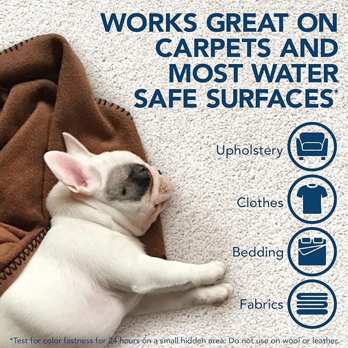 Simple Solution Stain & Odor Eliminator for Pets, Carpet Deodorizer, Enzyme Pet Odor Eliminator for Home, Stain Remover for Cat & Dog Pee, Urine Destroyer, Carpet Cleaner Spray, Spring Breeze, Gallon