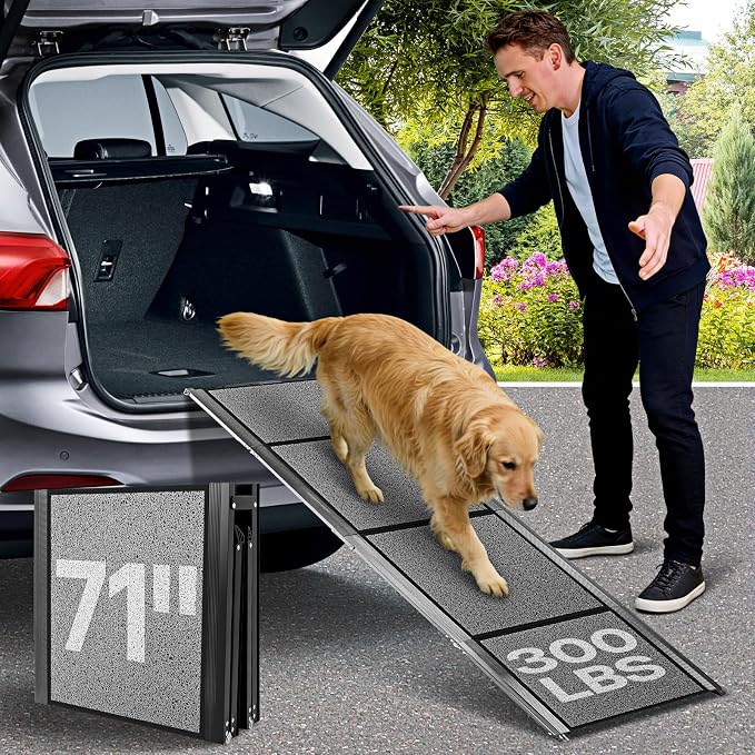 71''x 20'' Dog ramp for Car, Dog Ramps for Large Dogs, Folding Outdoor Dog Ramps for Stairs, Up to 250LBS, Non-Slip Rug Surface, 5s Installation, Dogs Car Steps for Large Dogs SUV, Truck, LKW