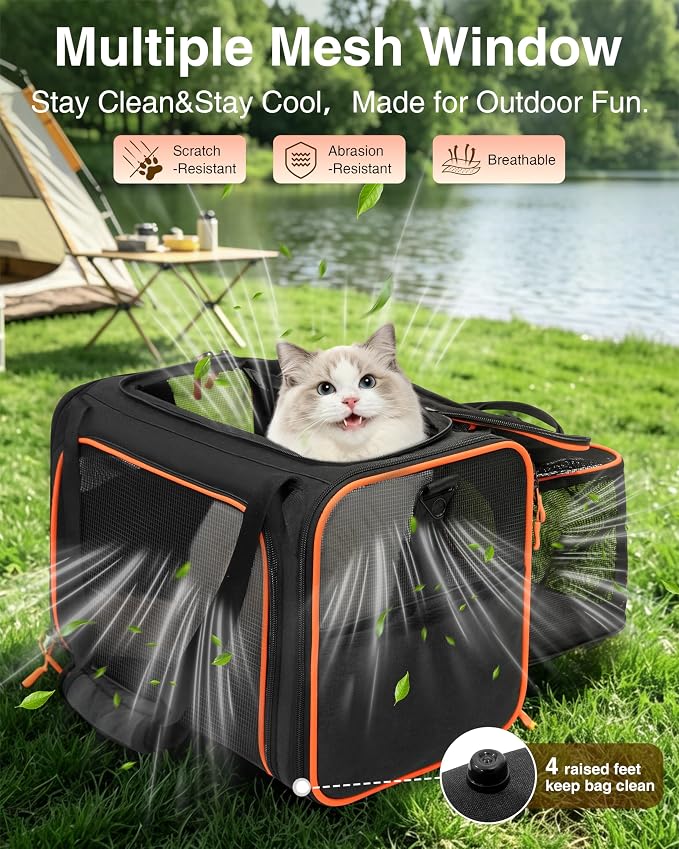 Expandable Cat Carrier Bag,Airline Approved Expandable Soft-Sided Pet Carrier(16"x 11"x 11") with Removable Pad,for Cats 12lbs,(Black Orange).