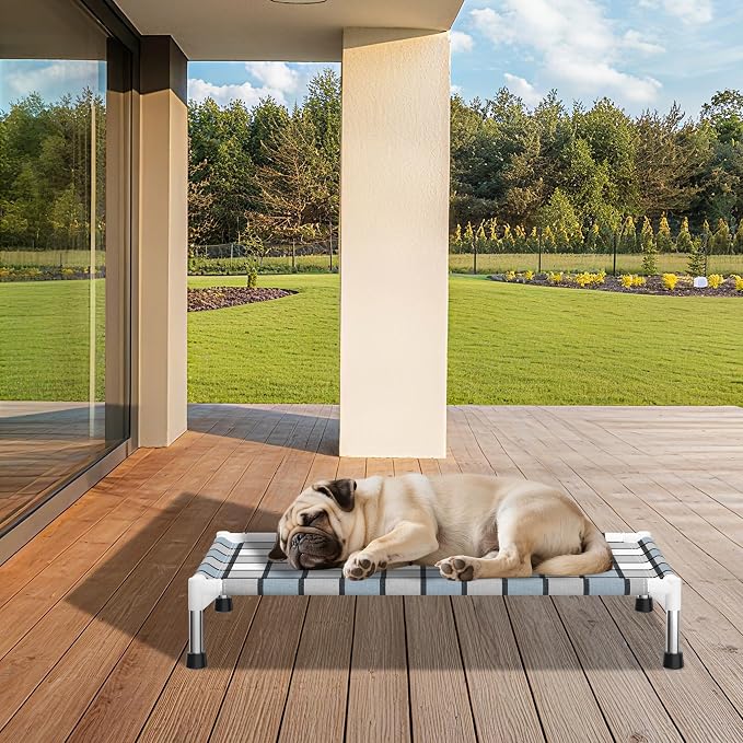 Caghash Elevated Outdoor Raised Dog Bed, Lifted Dog Cot for Medium Pet | Breathable Fabric Dog bed for Indoor & Outdoor, Stainless Steel, Anti-Slip Pet Bed