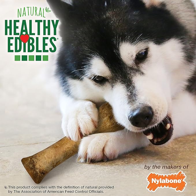 Nylabone Healthy Edibles Natural Dog Chews Long Lasting Bacon Flavor Treats for Dogs, X-Large/Souper (1 Count) (Pack of 2)