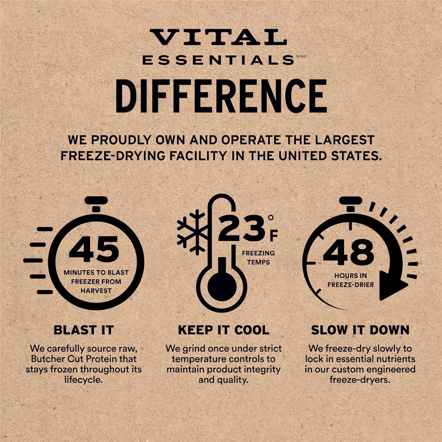 Vital Essentials Minnows Cat Treats, 1 oz | Freeze-Dried Raw | Single Ingredient | Grain Free, Gluten Free, Filler Free