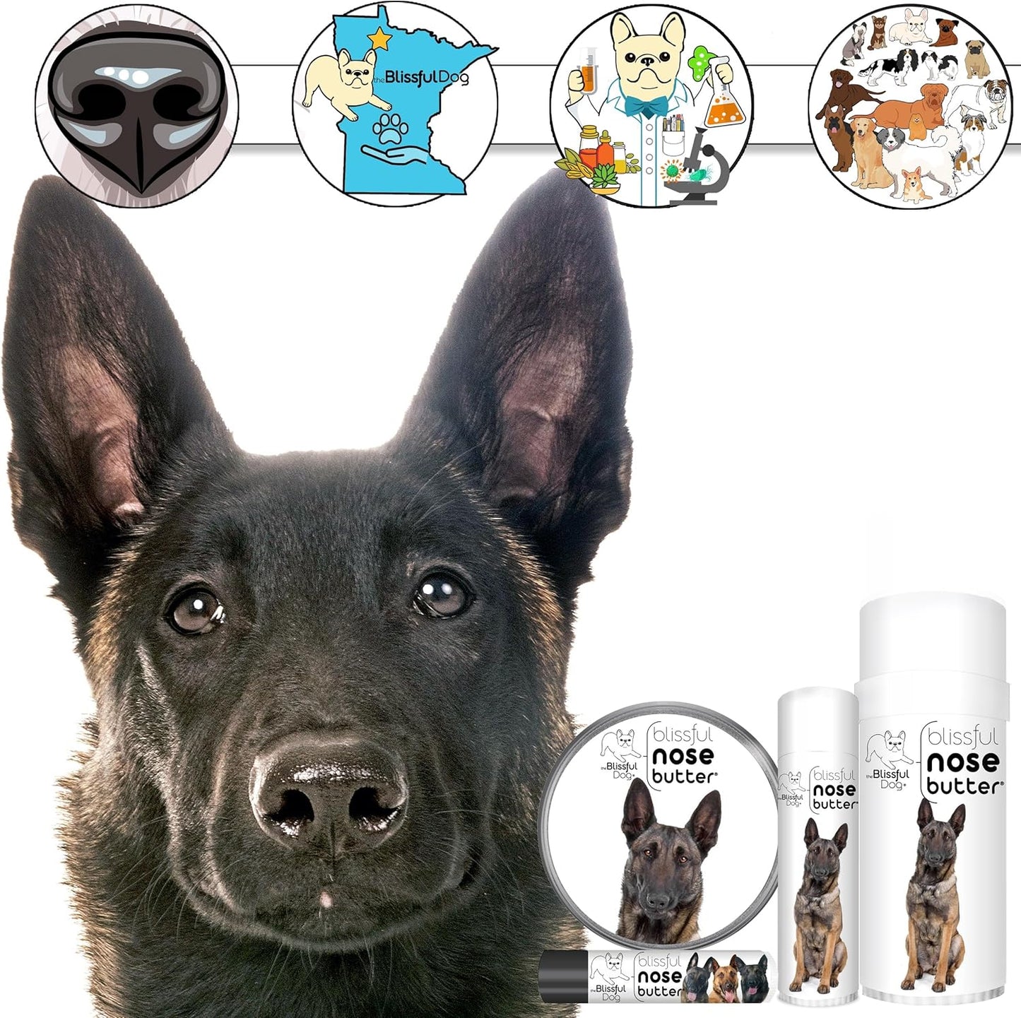 The Blissful Dog Belgian Malinois Nose Butter for Dry, Cracked Skin, Lick-Safe Dog Nose Balm with Moisturizing Shea Butter, Almond, Olive, and Essential Oils, Pet Supplies, Uncented, 1 oz.