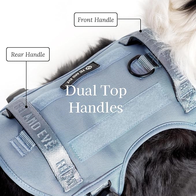 Fei & Eve Classic Dog Harness, MagEase Magnetic Buckle | 3-Point No-Pull Control, Dual Handle Support, 900D Nylon, Tactical Patch Panel, Heavy Duty, Small, Blue