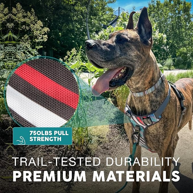 Embark No Pull Dog Harness, Reflective Adjustable Training Vest, No Choke | Adjustable straps fit all dog breeds with sturdy hooks; 360° reflective trim, soft padded Harness Design for All Dogs