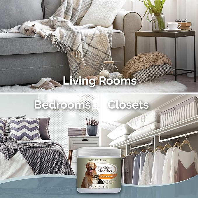 SMELLS BEGONE 15oz Gel Pet Odor Eliminator - Absorb & Remove Strong Odors from Pets, Cat Litter, Dog Poop, Urine Smells - Eliminate Whole Home Odors with Essential Oils (2-Pack, Pet Citrus)