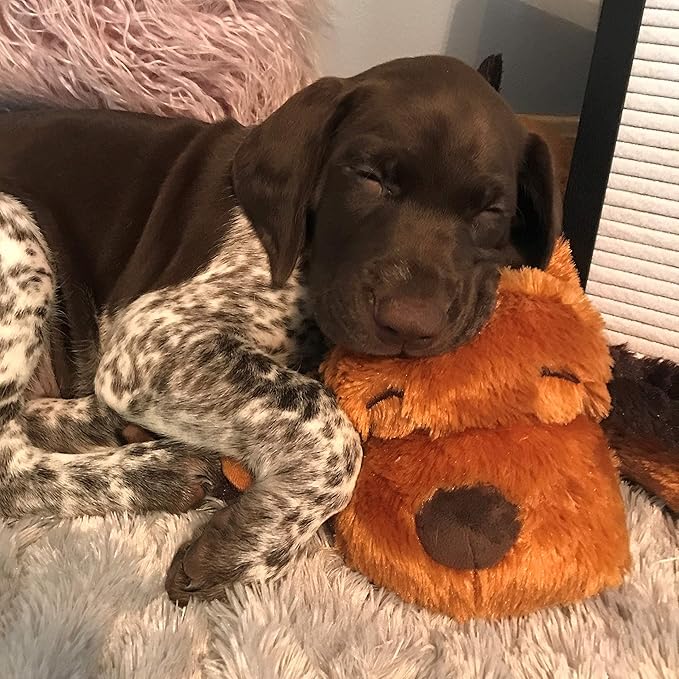 Original Snuggle Puppy Heartbeat Puppy Toy - Heartbeat Puppy for Dogs - Pet Anxiety Relief and Calming Aid - Comfort Dog Toy - Behavioral Training and Sleep Aid Cuddle buddy - Crate Training Essential