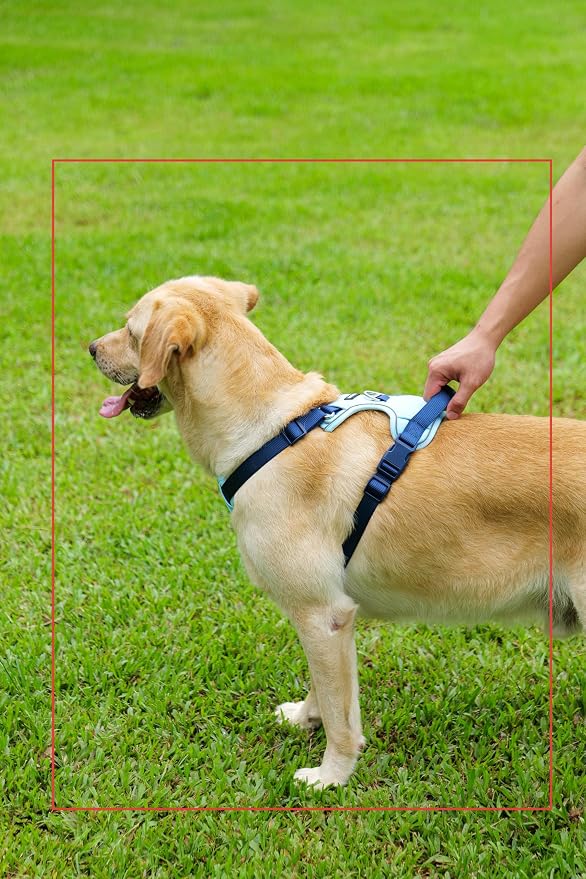 Dog Harness and Leash Set with Collar, No Pull Reflective Pet Vest Harness with Control Handle for Medium Large Dogs Walking and Training