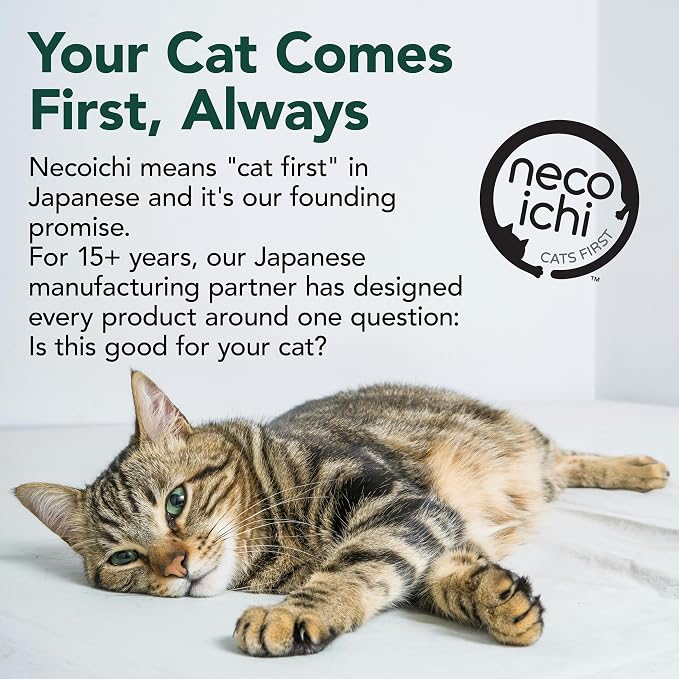 Necoichi Cardboard Cat Scratcher Bed for Indoor Cats - Cat Scratching Board, Horizontal Cat Scratch Pad Lounger with Reversible Usability and Extra Comfort for Lounge, Curved (Regular, Dark Cherry)