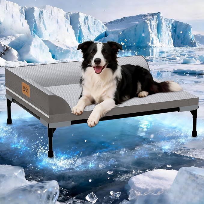 Elevated Cooling Dog Bed, Orthopedic Pet Bed for Medium Dogs, Removable Washable Cover, Indoor & Outdoor Raised Pet Bed with Breathable Mesh, Size: 32"*25"*7"
