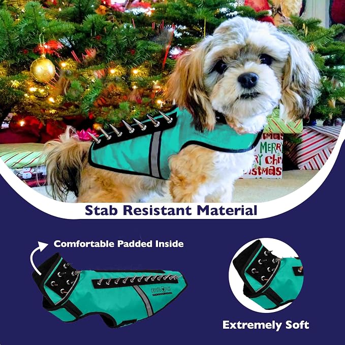 CoyoteVest SpikeVest Dog Harness, Made in the USA, L-Turquoise | Stab-Resistant Protective Vest | Coyote Vest for Dogs | Defends Against Coyotes, Dogs, Birds of Prey | Reflective Safety