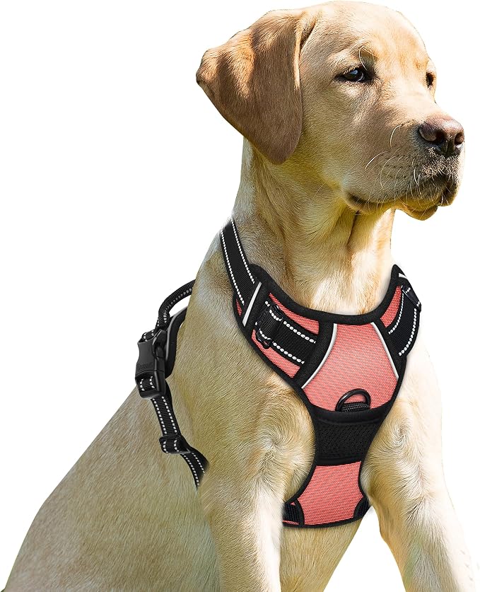BARKBAY Dog Harness No Pull for Small Sized Dog Front Back Clips,Dog Vest | Soft Padded No Choke With Handle,Easy On&Off,Adjustable Reflective For Walking Training Running(Light Pink,S)