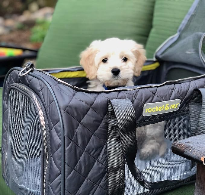 rocket & rex Premium Designer Pet Carrier, Airline Approved (Soft-Sided) | Boutique-quality construction, water-resistant premium materials. Rigid frame, collapsible, TSA/airline approved.