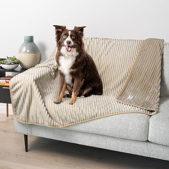 PetAmi Waterproof Dog Blanket, Leakproof Pet Blanket for Small Medium Large Dogs, Reversible Furniture Bed Sofa Couch Cover Protector, Plush Striped Pet Throw for Indoor Cat, 60x80 in, Taupe Beige
