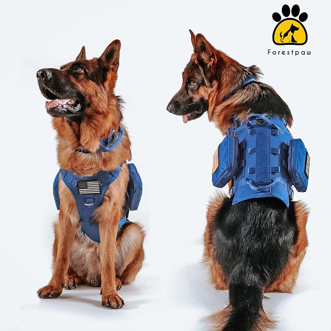 Forestpaw Tactical Dog Harness Collar Bungee Leash Set,M,Blue | Adjustable Fits 22-35" Chest,30-80 lbs,No Pull Control Military Style,Quick Release Buckle,Walking Training for Medium Dogs