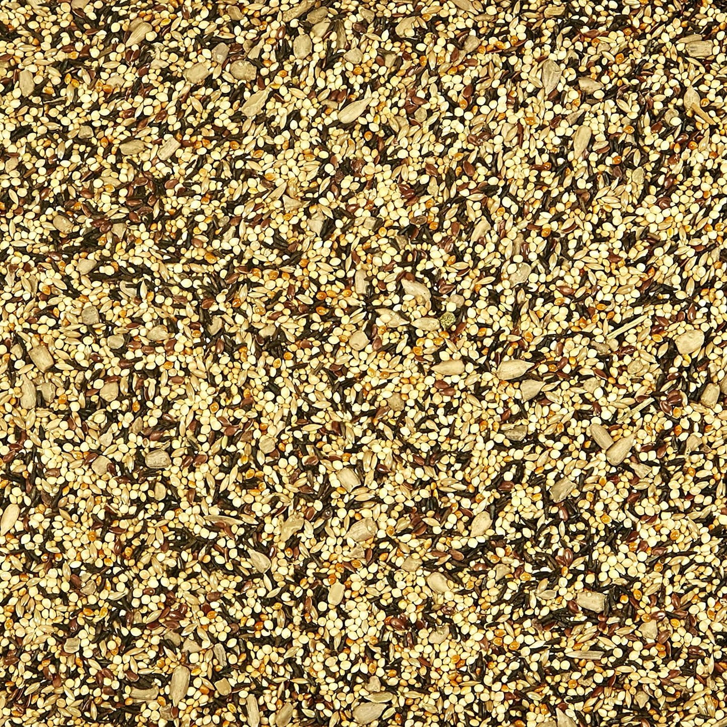 Kaytee Wild Bird Finch Food Blend, 3 lb (Pack of 2)