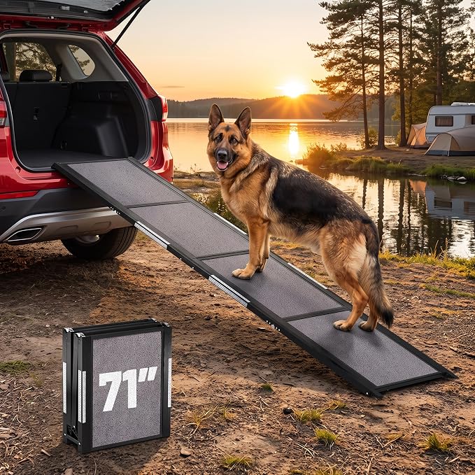 Dog Ramp for Car - 71" L x 17" W Portable Dog Ramp for Car | Foldable dog ramp for cars, trucks & SUVs, beds & sofas with anti-slip feet, traction carpet, 250 lb, for Corgis & Dachshunds