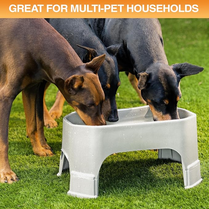 Neater Pet Brands Extra Large Water Bowl for Dogs, Elevated Outdoor Dog Water Bowl (1.25 Gallon XL Capacity), Big Trough Style Food Dish for Indoors or Outside, No Spill Large Dog Bowls, Vanilla Bean